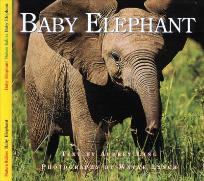 Baby elephant / text by Aubrey Lang ; photography by Wayne Lynch.