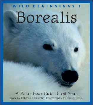 Borealis : a polar bear cub's first year / story by Rebecca L. Grambo ; photography by Daniel J. Cox.