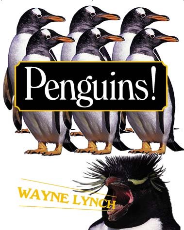 Penguins! / text and photographs by Wayne Lynch.