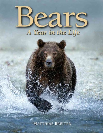 Bears : [a year in the life] / Matthias Breiter.
