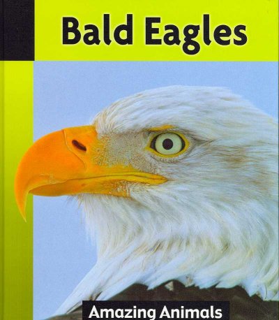Bald eagles / Arlene Worsley.