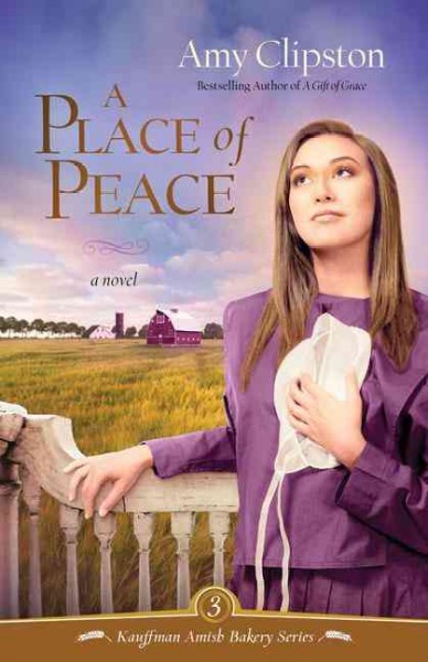A place of peace / Amy Clipston.