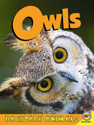 Owls / Nick Winnick.