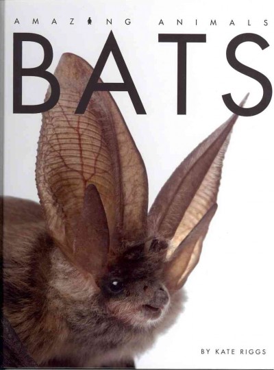 Bats : amazing animals / by Kate Riggs.