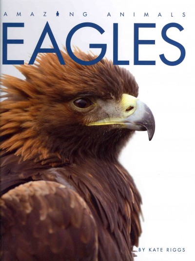 Eagles : amazing animals / by Kate Riggs.