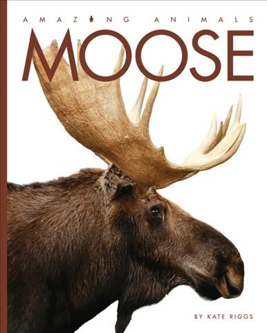 Moose : amazing animals / by Kate Riggs.