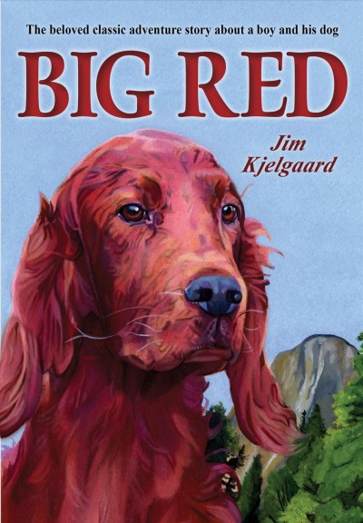 Big Red : the story of a champion Irish setter and a trapper's son who grew up together, roaming the wilderness / Jim Kjelgaard ; illustrated by Bob Kuhn.