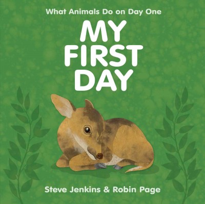 My first day / Steve Jenkins & Robin Page.