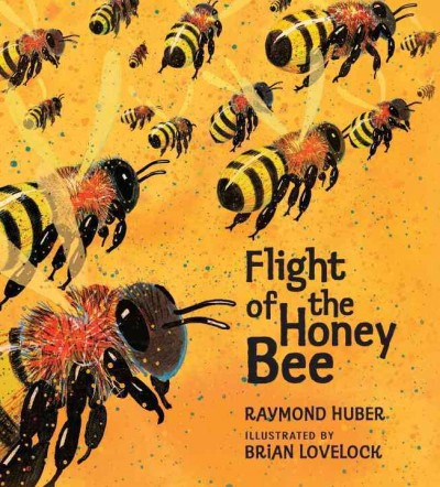 Flight of the honey bee /  Raymond Huber ; illustrations by Brian Lovelock.