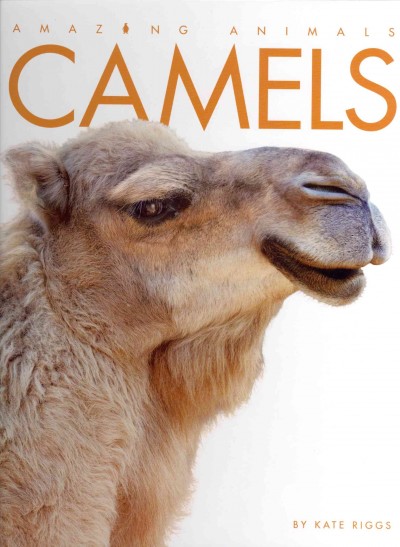 Camels / Kate Riggs.
