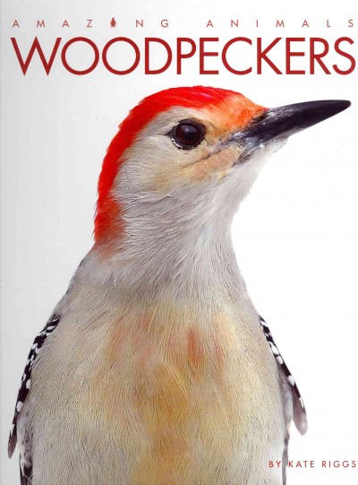 Woodpeckers / Kate Riggs.