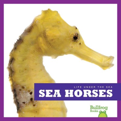 Sea horses / by Cari Meister.
