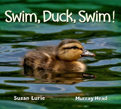Swim, duck, swim! / Susan Lurie ; photographs by Murray Head.