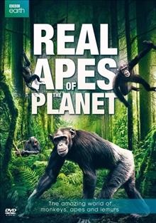 Real apes of the planet : [video recording (DVD)] the amazing world of monkeys, apes and lemurs / BBC Earth Productions.