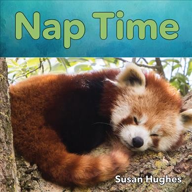 Nap time / Susan Hughes.