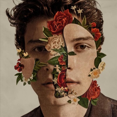 Shawn Mendes [sound recording]