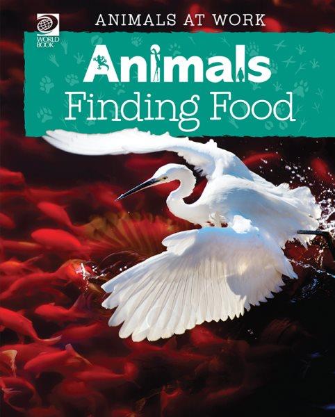 Animals finding food.