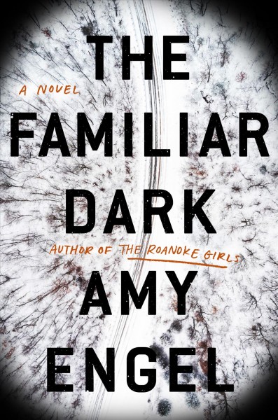 The familiar dark : a novel / Amy Engel.