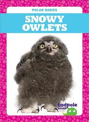 Snowy owlets / by Genevieve Nilsen.