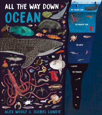 Ocean / written by Alex Woolf ; illustrated by Isobel Lundie.