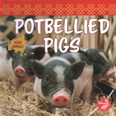 Potbellied pigs / Alicia Rodriguez.