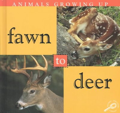 Fawn to deer.