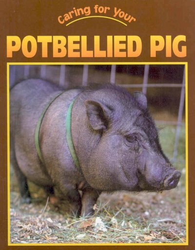 Caring for your potbellied pig / Leia Tait.