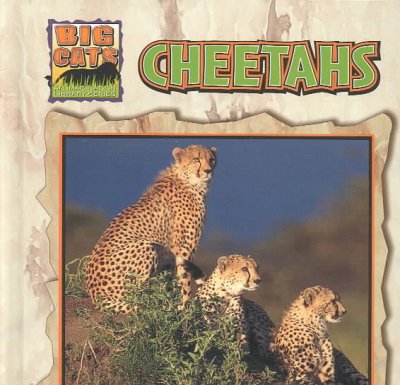 Cheetahs / by Victor Gentle and Janet Perry.