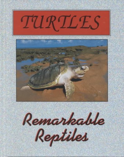 Turtles and tortoises.