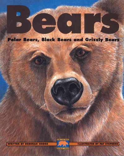 Bears : polar bears, black bears and grizzly bears.
