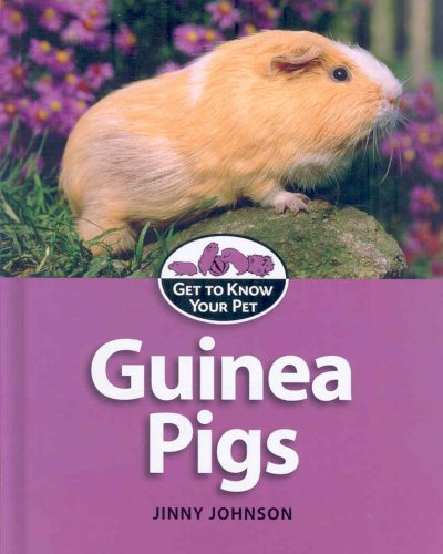 Guinea pigs / Jinny Johnson.
