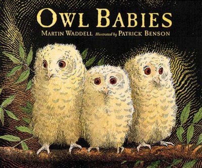 Owl babies / written by Martin Waddell ; illustrated by Patrick Benson.