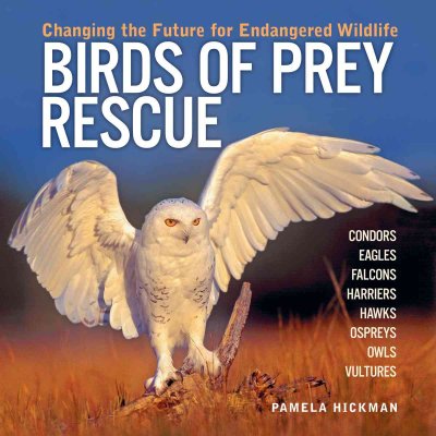 Birds of prey rescue : changing the future for endangered wildlife / Pam Hickman.