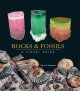 Go to record Rocks & fossils : a visual guide
