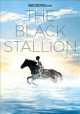 The black stallion Cover Image