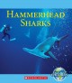 Go to record Hammerhead sharks
