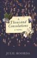 Go to record A thousand consolations : a novel