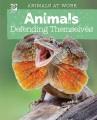 Animals defending themselves. Cover Image