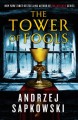 The Tower of Fools  Cover Image