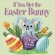 If you met the Easter Bunny  Cover Image