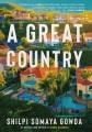 Go to record A great country: A novel