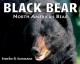 Black bear : North America's bear. Cover Image